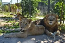 ZOO Dvorec u Borovan