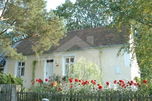 Vakantiehuis Praag en omgeving OP 0313