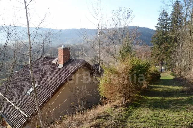 Vakantiehuis Boheems Woud ZC 0050