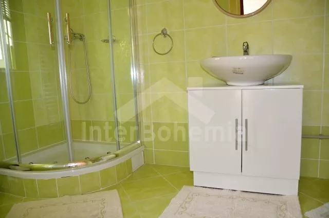 Ferienhaus Adlergebirge VC 0049