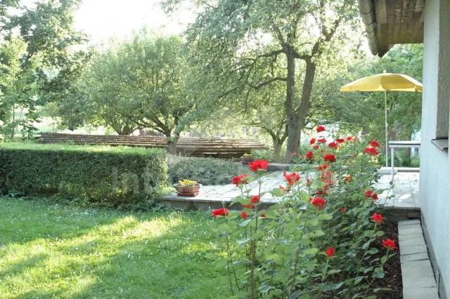 Holiday Home Orlicke Mountains VC 0049