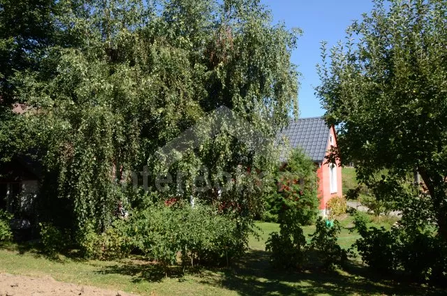 Chalupa Česká Kanada JC 0106