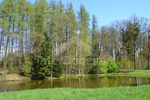 Chalupa Jindřichův Hradec a okolí JC 0086