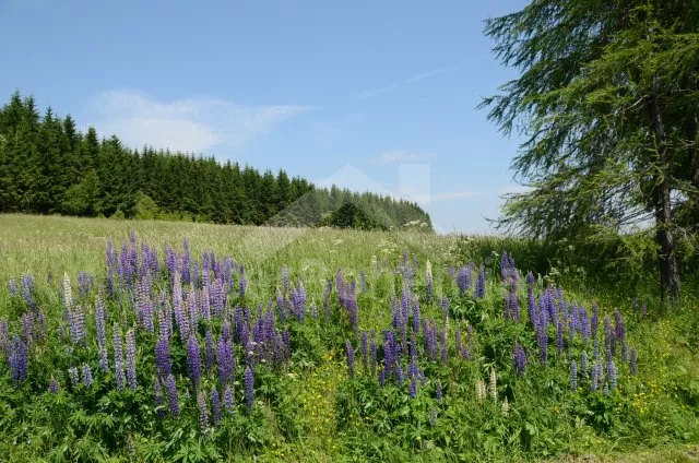 Ferienhaus Erzgebirge KH 0025