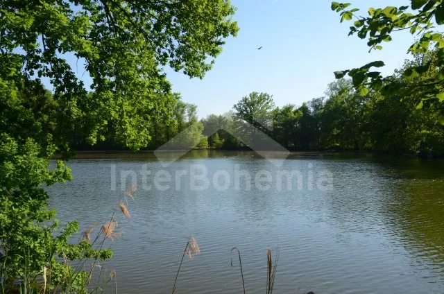 Domek Tábor a okolí JC 0329