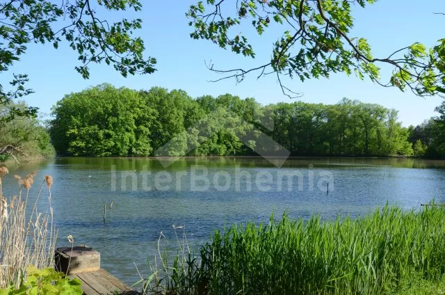 Domek Tábor a okolí JC 0329