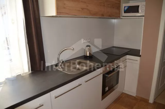 Apartmán Lipno JC 0303