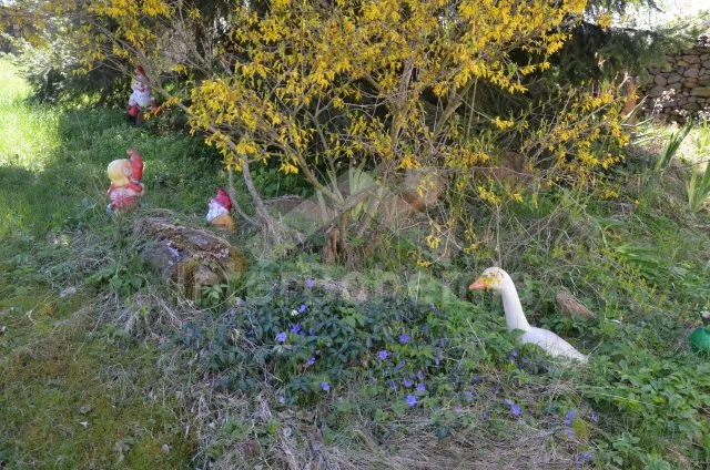 Chalupa Šumava a předhůří JC 0268