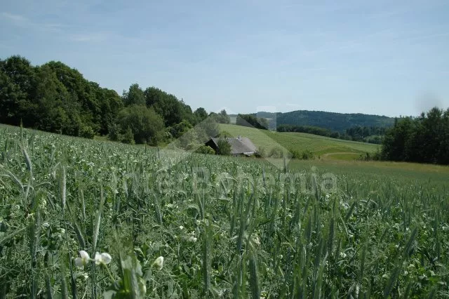 Chalupa Orlické hory a předhůří SM 0019