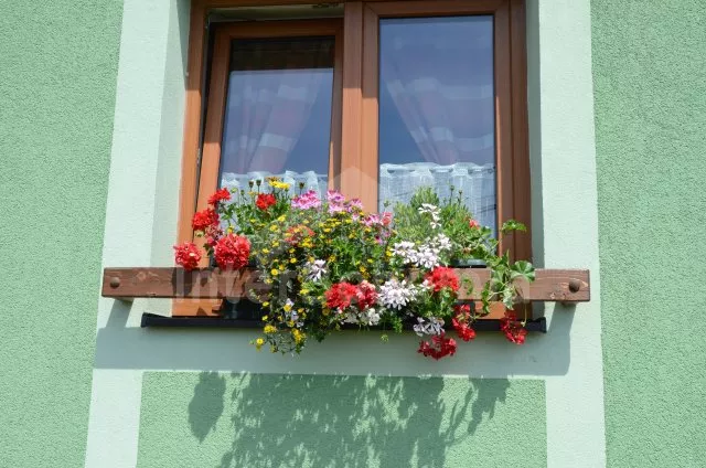 Vakantiehuis Kuuroorden driehoek ZC 0003