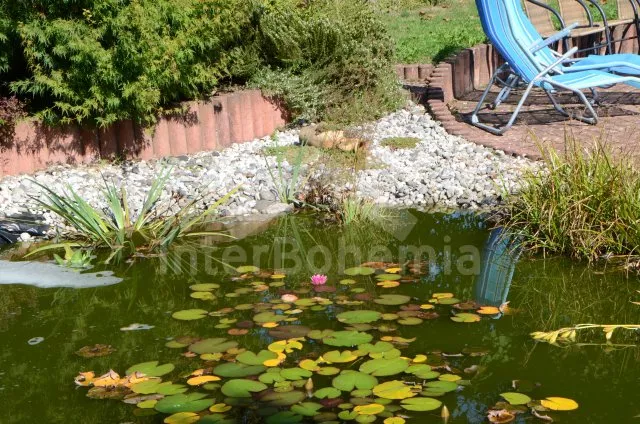 Vakantiehuis Brdy Wouden ZC 0029