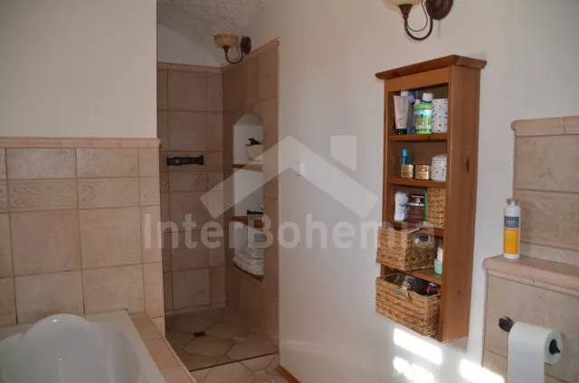 Vakantiehuis Brdy Wouden ZC 0029