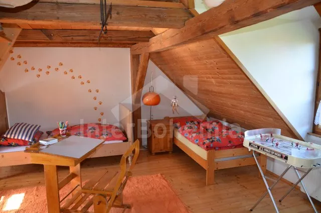 Vakantiehuis Brdy Wouden ZC 0029