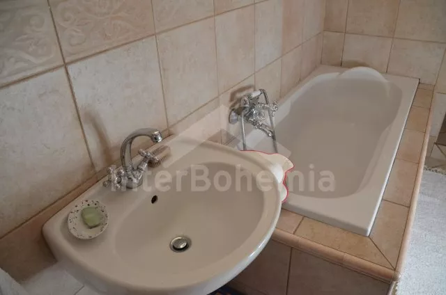 Vakantiehuis Brdy Wouden ZC 0029