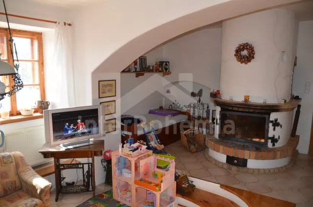 Vakantiehuis Brdy Wouden ZC 0029