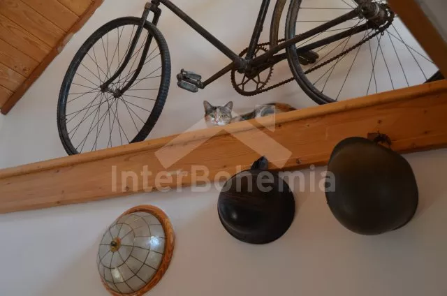 Vakantiehuis Brdy Wouden ZC 0029