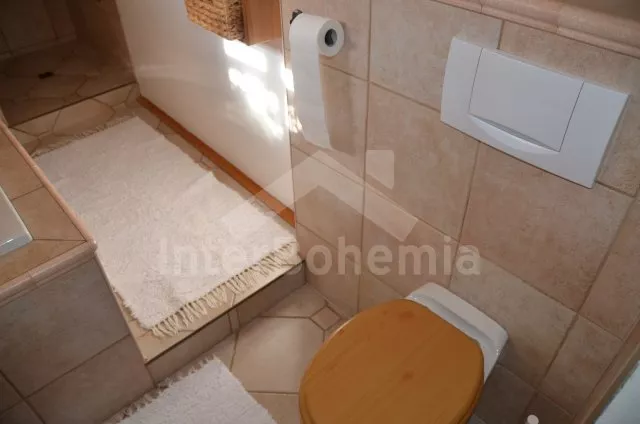 Vakantiehuis Brdy Wouden ZC 0029