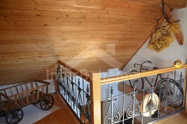 Vakantiehuis Brdy Wouden ZC 0029