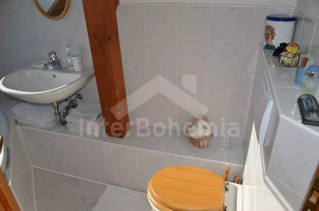 Vakantiehuis Brdy Wouden ZC 0029