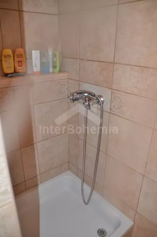 Vakantiehuis Brdy Wouden ZC 0029