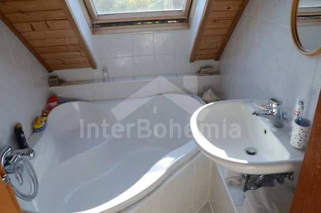 Vakantiehuis Brdy Wouden ZC 0029