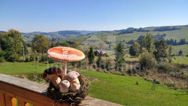 Chalupa Slovensko SL 0001