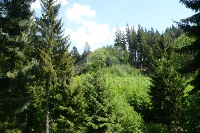 Bungalow Böhmisch – Mährischen Hochland JC 0045