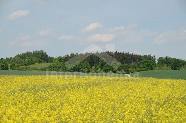 Vila Jihočeské rybníky JC 0429