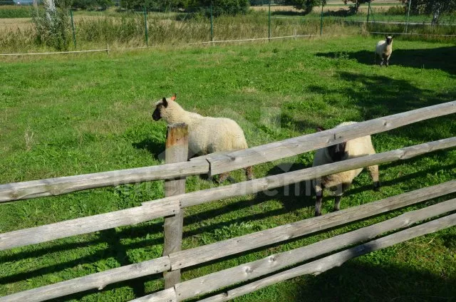 Vila Jihočeské rybníky JC 0429