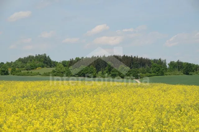 Vila Jihočeské rybníky JC 0418