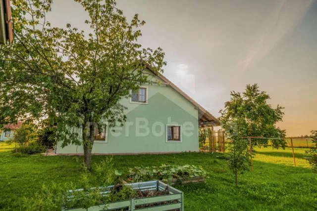 Vila Jihočeské rybníky JC 0418