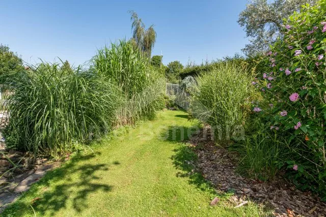 Vakantiehuis Boheems Woud ZC 0099