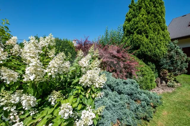 Vakantiehuis Boheems Woud ZC 0099