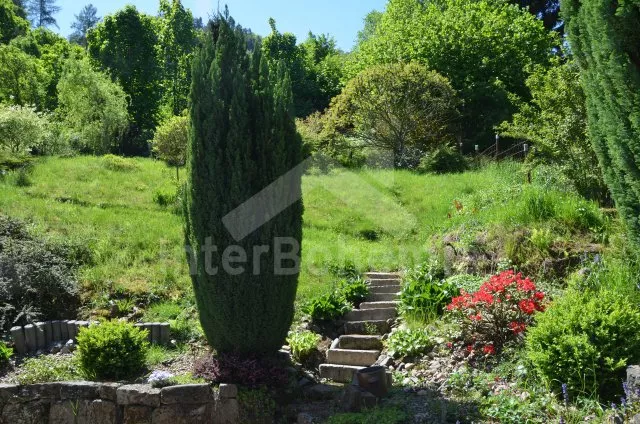 Vila České Švýcarsko KH 0012