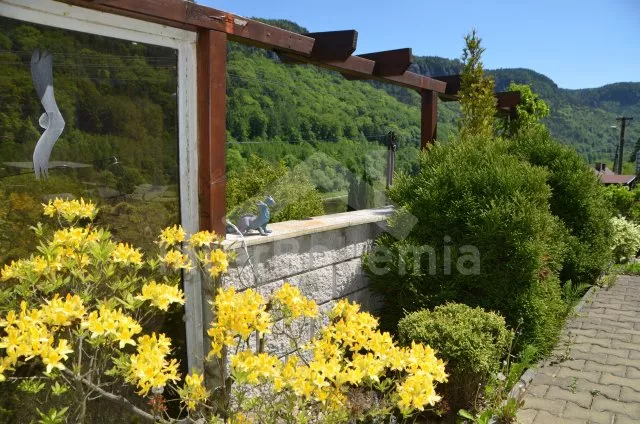 Vila České Švýcarsko KH 0012