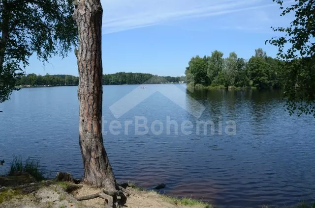 Domek Třeboňsko JC 0111