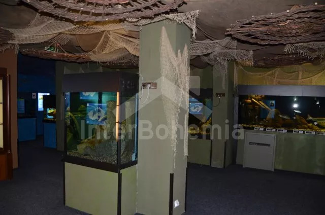 Appartement Lipno Lake JC 0257