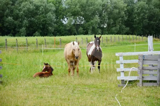 Chata České Budějovice a okolí JC 0278