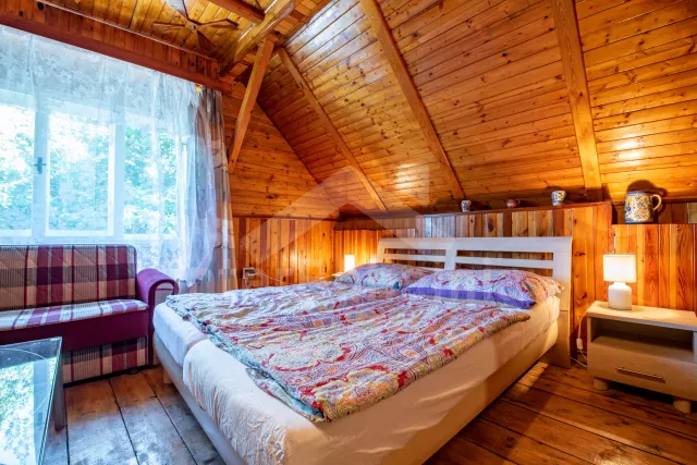 Statek Tábor a okolí JC 0254