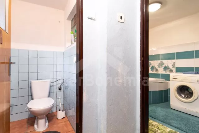 Statek Tábor a okolí JC 0254