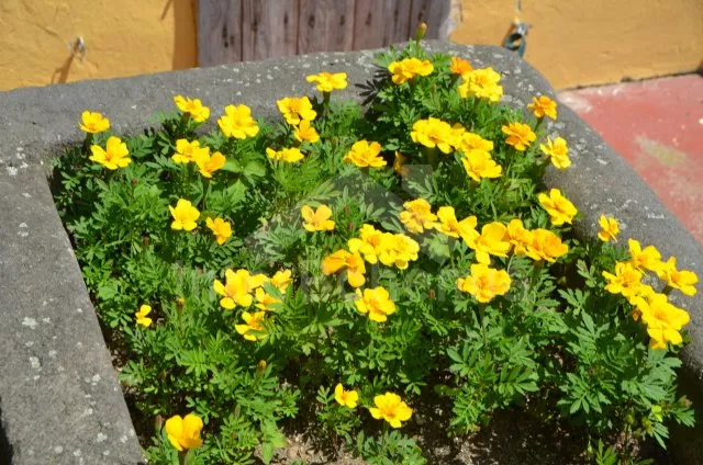 Statek Tábor a okolí JC 0260