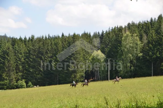 Holiday Home Bohemian Forest JC 0259