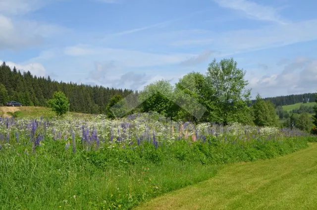Appartement Bohemian Forest JC 0258