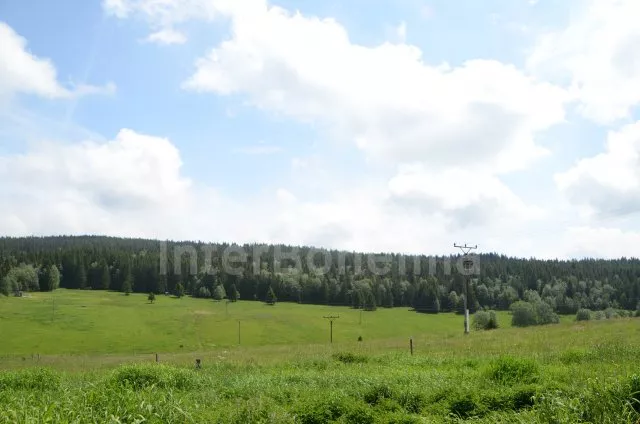 Appartement Boheems Woud JC 0258