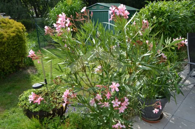 Domek Jindřichův Hradec a okolí JC 0261