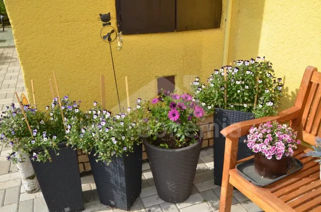 Domek Jindřichův Hradec a okolí JC 0261