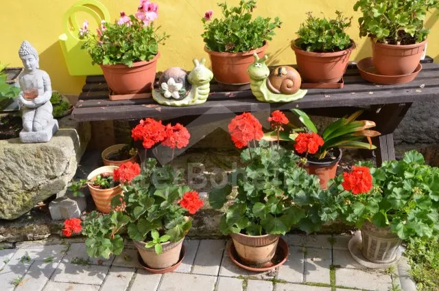 Domek Jindřichův Hradec a okolí JC 0261