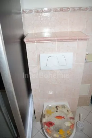 Ferienwohnung Südböhmen – Budweis JC 0309