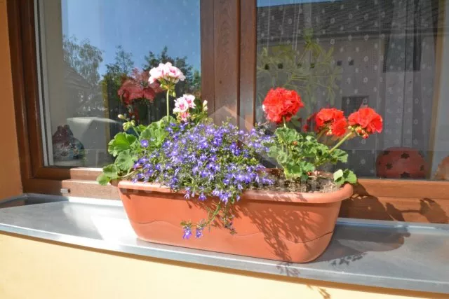 Chalupa Praha a okolí OP 0052