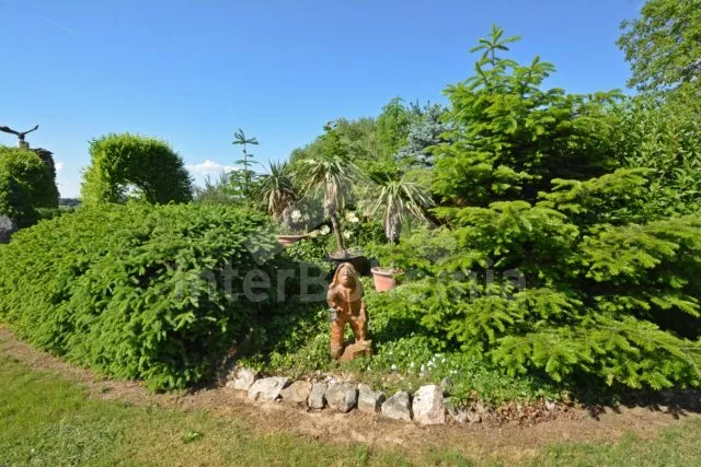 Detaily na každém kroku